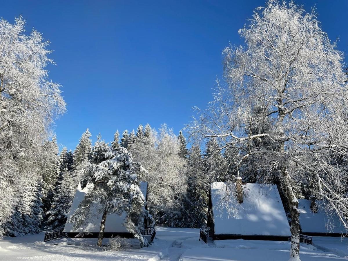 Hotel A Penzion Pegas Vlachovice Екстер'єр фото